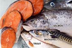 Salmon Trout