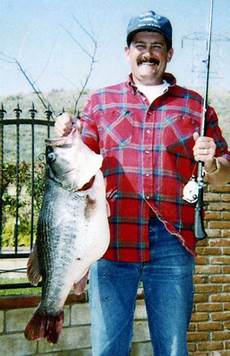 Alive Trout