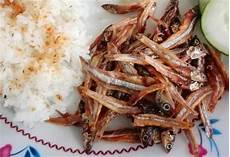 Anchovy