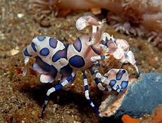 Aquaculture