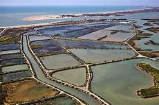 Aquacultures