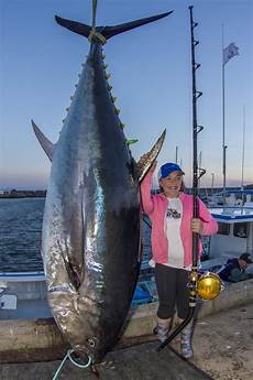 Bluefin Tuna