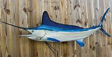 Bluefish