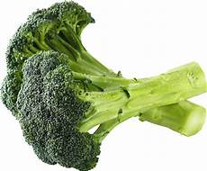 Boiled Broccoli