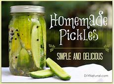 Cucumber Pickle