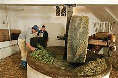 Frantoia Olive Oil