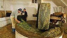 Frantoia Olive Oil
