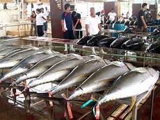 Fresh-Chilled Fish