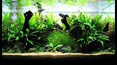 Fresh Fish