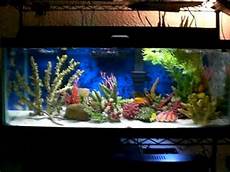 Fresh Fish