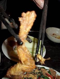 Fresh Frog Legs
