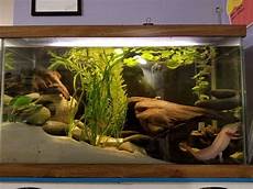 Freshwater Products