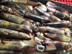 Frozen Anchovy