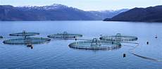 Frozen Aquacultural Resources