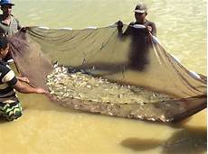Frozen Aquaculture