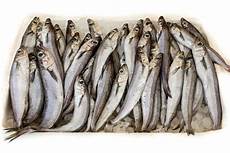 Frozen Fish