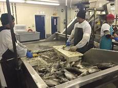 Frozen Freshwater Product