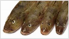 Frozen Freshwater Products
