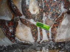 Frozen Operculum