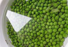 Ligurian Olive Oil