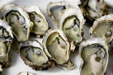 Molluscs