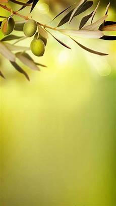 Olives And Oil