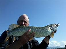 Pike Perches