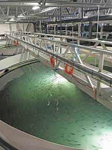 Salmon Trout Farm