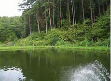 Salmon Trout Farm