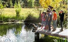 Salmon Trout Farm