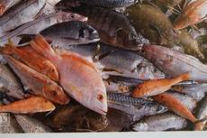 Smoked Fishes
