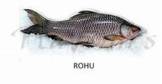 Smoked Fishes