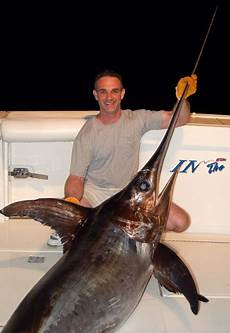 Swordfish
