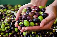 Table Olives