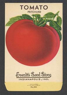 Tomato Paste