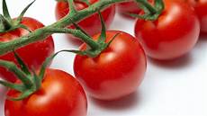 Tomato Puree
