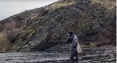 Trout Producer