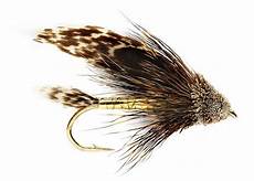 Trout Producer