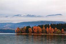 Whitefish