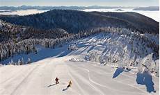 Whitefish