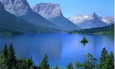 Whitefish